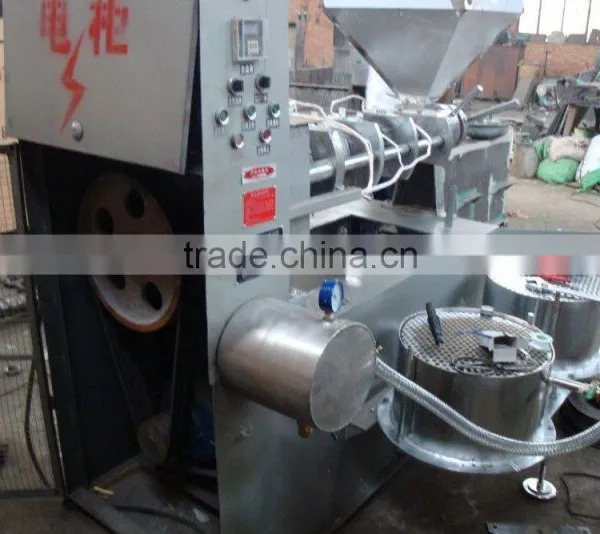 Peanut and Soybean and Sesame Cooking Oil Press Machine photo-3