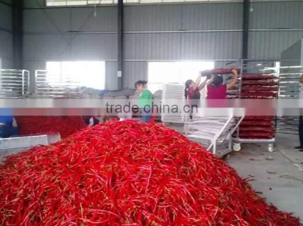 Hot Air Circulation Industrial Pepper Drying Machine photo-4