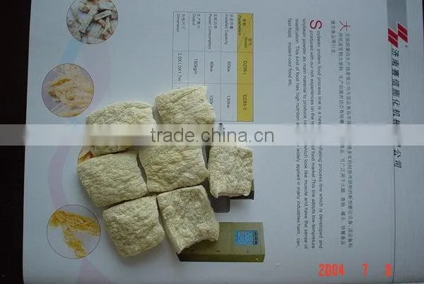 China Supplier High Technology Organic Soya Protein Food Machinery photo-6