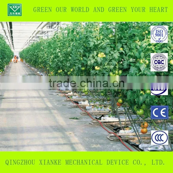 Good Daylight and UV-resistance Vegetable/fruit/flower Greenhouse photo-2