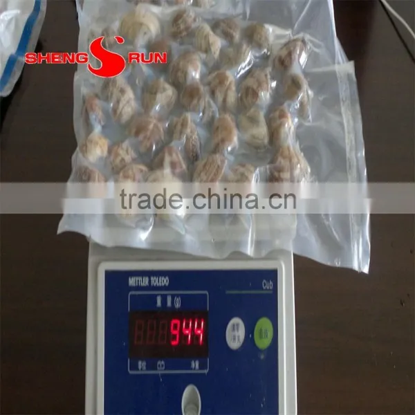 Frozen Boiled Baby Clam photo-4
