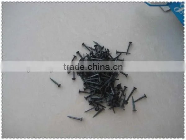 Blue Shoe Tacks Nails(Guangzhou Factory) photo-3