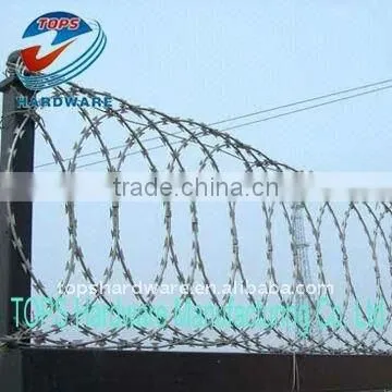 Шипы из колючей проволоки photo-2