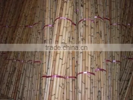 Manau Cane, Manau, Manao, Rattan Pole, Pole, Rattan, Cane, Rattan Cane, Cricket Cane, Singapore Cane, Manao Cane, Manao Pole photo-2