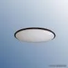 Sell Fluorescent Ceiling Light
