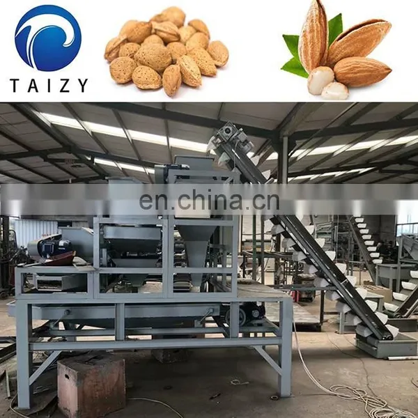 Automatic Nut Cracker Jujube Hazelnut Production Line Almond Processing Line Almond Cracking Machine photo-7