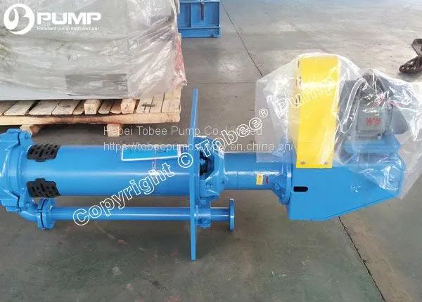 Standard 40mm Heavy Duty Cantilever Sump Slurry Pump photo-2