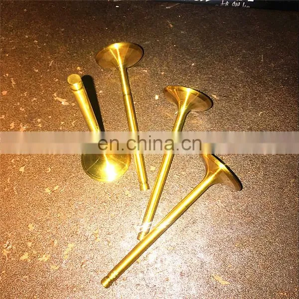 Manufacturer High Performance Custom Supertech Parts for G4FC Hyundai Avante HD Elentra Intake Exhaust Engine Valve photo-4