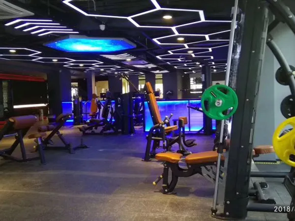 Wholesale Low Back Machine for Exercise photo-4