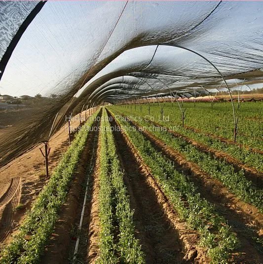 Plastic Mesh Net for Vegetable Greenhouse Shade Net Cover Mesh Fabric Farm Outdoor Nursery Shade Net photo-5