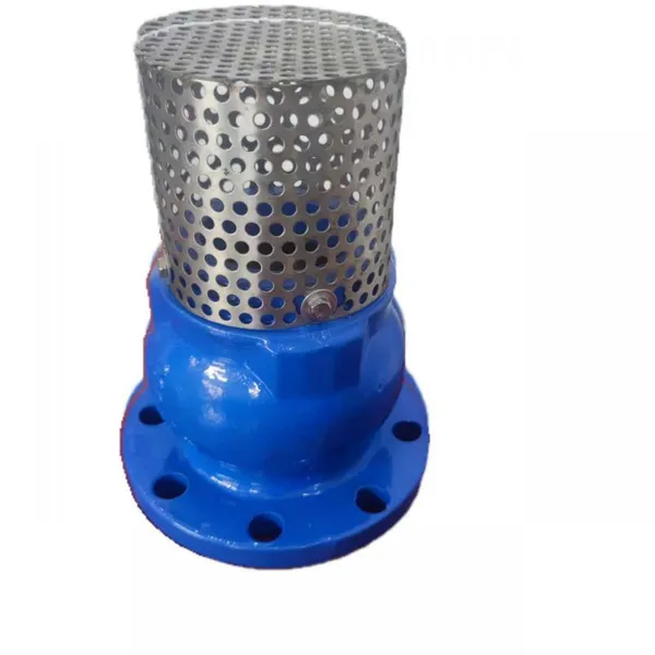 OEM Low Price Flange Foot Valve Pn16 GGG50 Foot Valve PN2.5 6 Inch SS304 Mesh Foot Valve photo-6