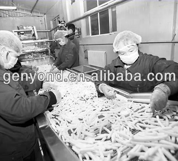 Automatic Frozen Fruit & Vegetable Processing Line photo-3