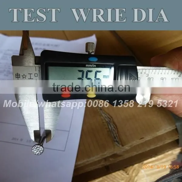 Common Wire Nails Supplier From China Special for Yemen Market photo-4