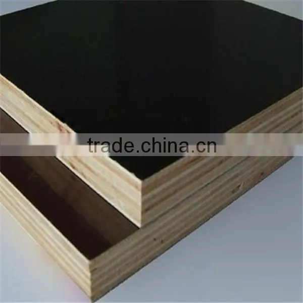 Construction Usage Poplar/Hardwood/Combi Core 18mm Film Faced Plywood photo-3