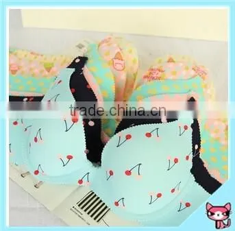 Korean Style Floral Seamless Bra Set