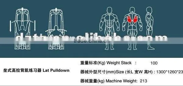 Gym Body Building Equipment /best Selling/TZ-6020 Lat Pulldown photo-6