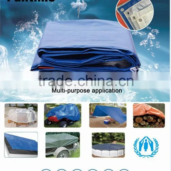 PE Tarpaulin in Roll, Bale, Carton Packing photo-6