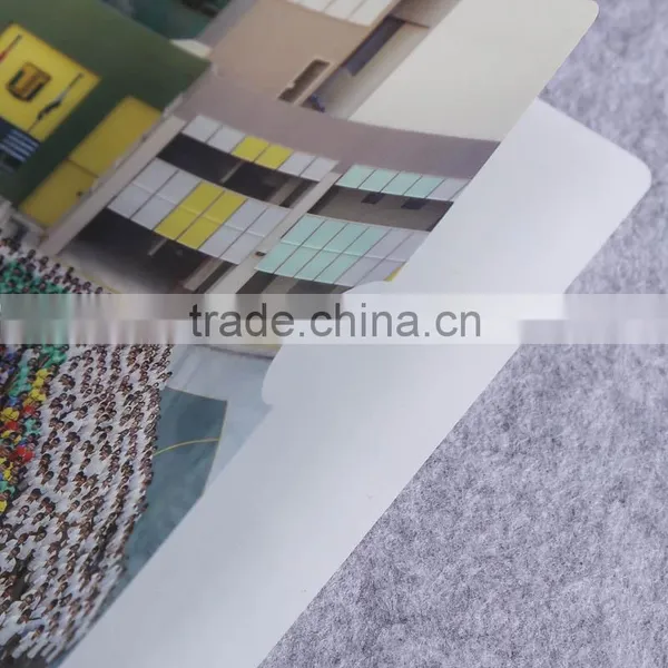 Customized Design Plastic pp Single Page Folding Document Holder l Shape Plastic Folder a4 Size File Folder photo-3