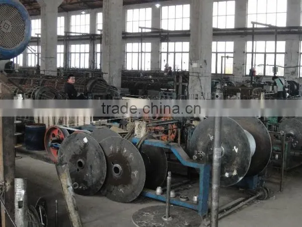 Electro Galvanized Steel Wire Rope photo-4