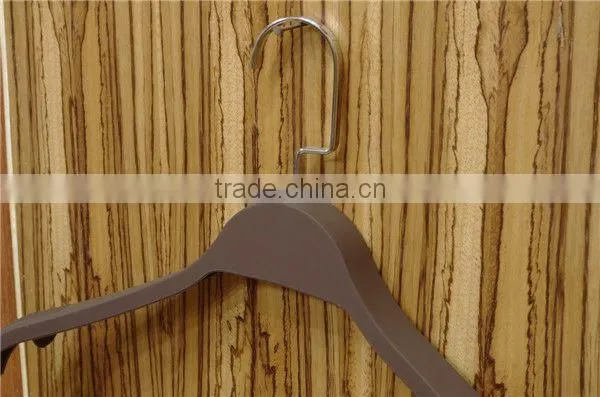 Plastic Panit Clothes Hanger photo-2