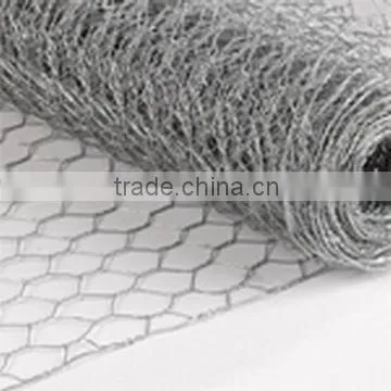 Hexagonal Iron Wire Mesh photo-2