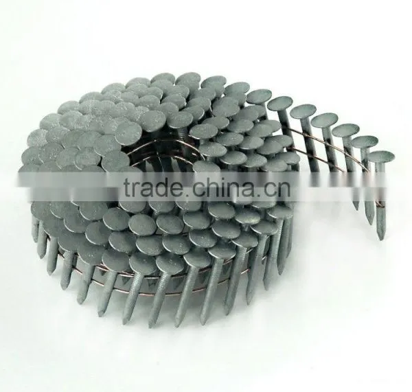 Common Nails / Roofing Nails / Coil Nail ( MANUFACTURER ) photo-6