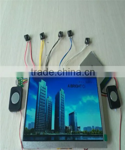 Top Grade and Competitive Price 10.1" Xxx Video Lcd Display Module photo-3