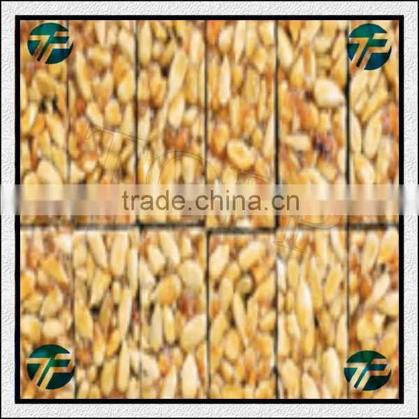 High Speed Easy Operation Peanut Brittle Cutting Machine for Sale photo-5