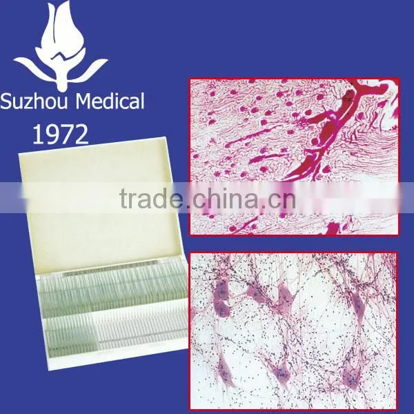 Microbiology Prepared Slides