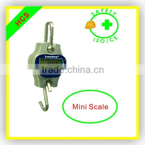 Small Weighing Scale/Crane Scale