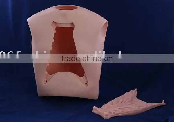 Acupuncture Model