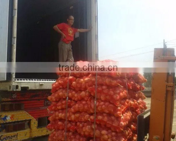 Top Fresh ONION WITH ALL SIZES photo-6