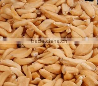 Dehydrated Garlic Flakes/Dehydrated Garlic Cloves