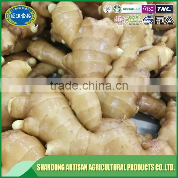 Fresh Ginger Price in China photo-4