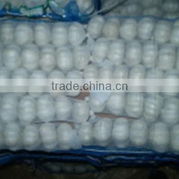 HACCP Certification China Fresh Garlic photo-3