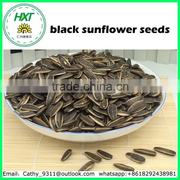 2016 New Product China Black Sunflower Seeds photo-3