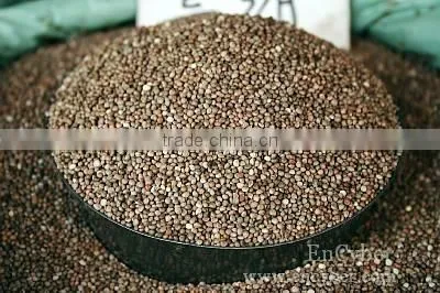 Herbel Clod Pressed Tech Perilla Seed Oil Useful photo-3