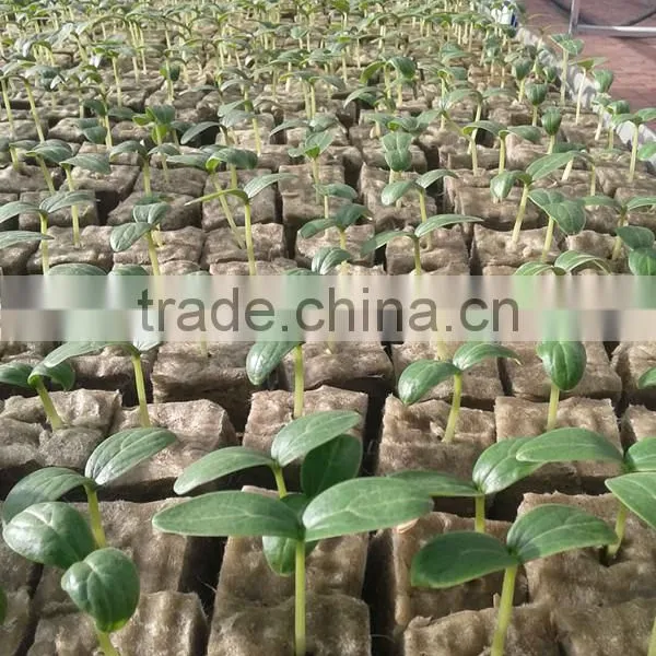 Plant Fiber Material Hydroponic Rock Wool 4X4X4 INCH 6X6X6 INCH photo-3