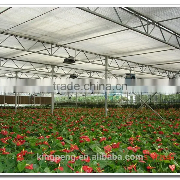 Professional Float/tempered Agricultural Galss Greenhouse (ISO9001:2000) photo-2