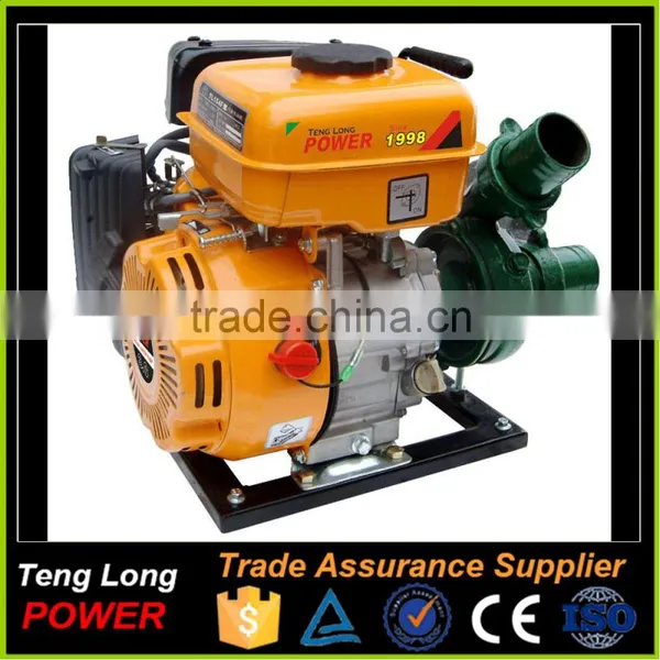 6.5HP Gasoline Engine Driven Agriculture Use Water Pump Turkey photo-2