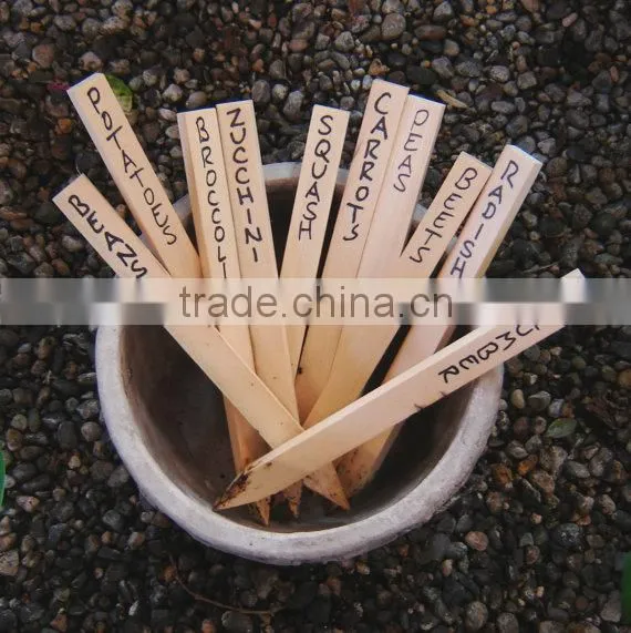 Wooden Plant Labels photo-6
