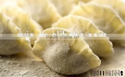 Hoe Sale Spring Roll Making Machine/samosa Making Machine photo-3