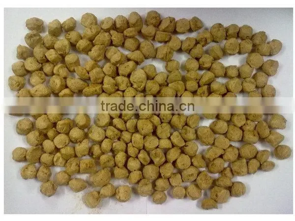 China Good Supplier Good Quality Soya Protein Machine Line photo-6