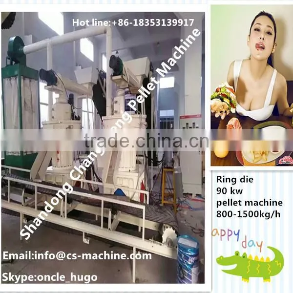 CSPM 2016 New Hot Sale Pellet Mill for Wood Sawdust photo-6