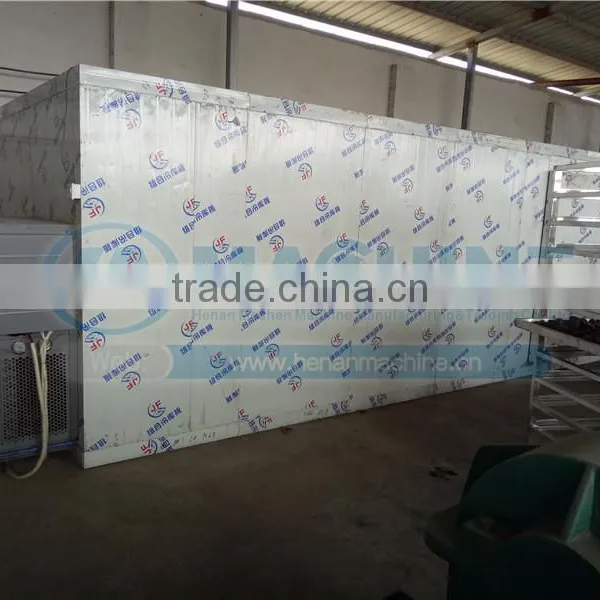 Heat Pump Fruit Dryer Argos for Fruit Vegetable Herb Meat Fish Chilli for Moringa Leaves photo-2