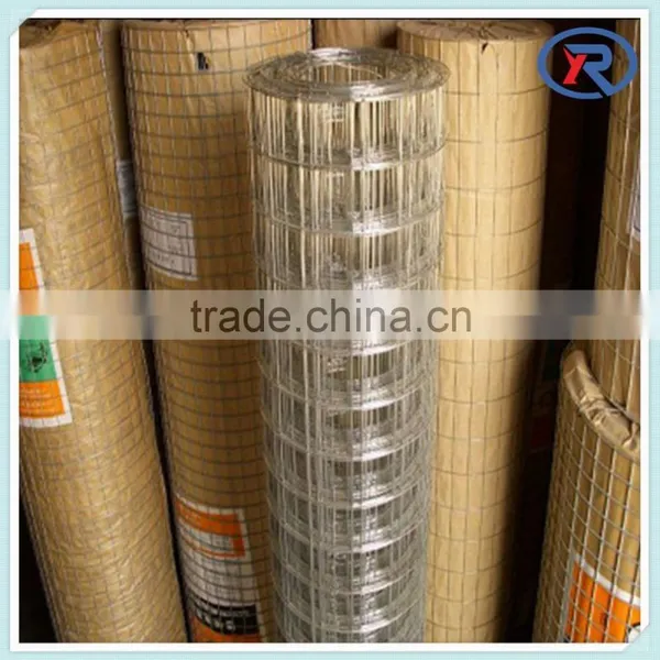 Trade Assurance Galvanized Iron Welded Wire Netting Mesh photo-2