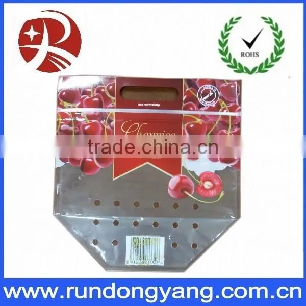 Hot Sale Plastic Stand up Pouch Slider Zip Lock Fruit Packing Bag photo-4