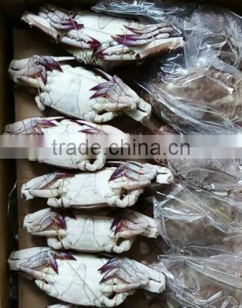 Frozen Whole Blue Swimming Crab For Sale photo-2