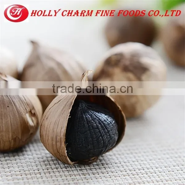 Manufacturer Supply Best Price High Quality Solo Black Garlic photo-4