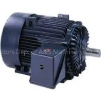 Marathon Motor